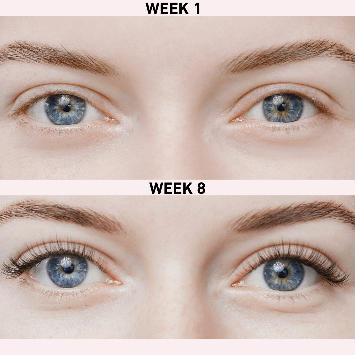 WimperWonder - Een Wimper Serum Dat Echt Werkt!