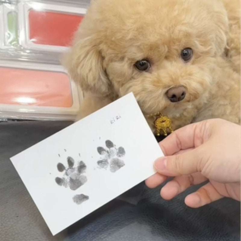 PawPrint Memories™ | 1+1 GRATIS