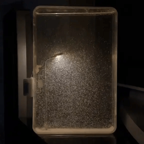 WinterGlow™ Sneeuwlamp