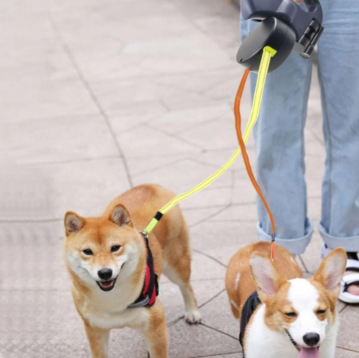 PawSync⢠| 2-in-1 Anti-Knoop Hondenriem