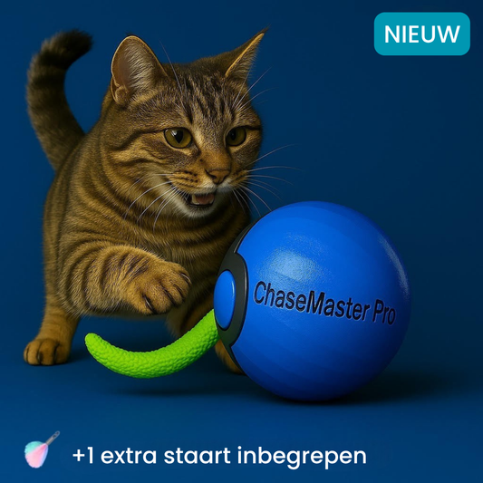 PawWhirl™ – Het interactieve speeltje dat katten in beweging brengt | 1+1 GRATIS