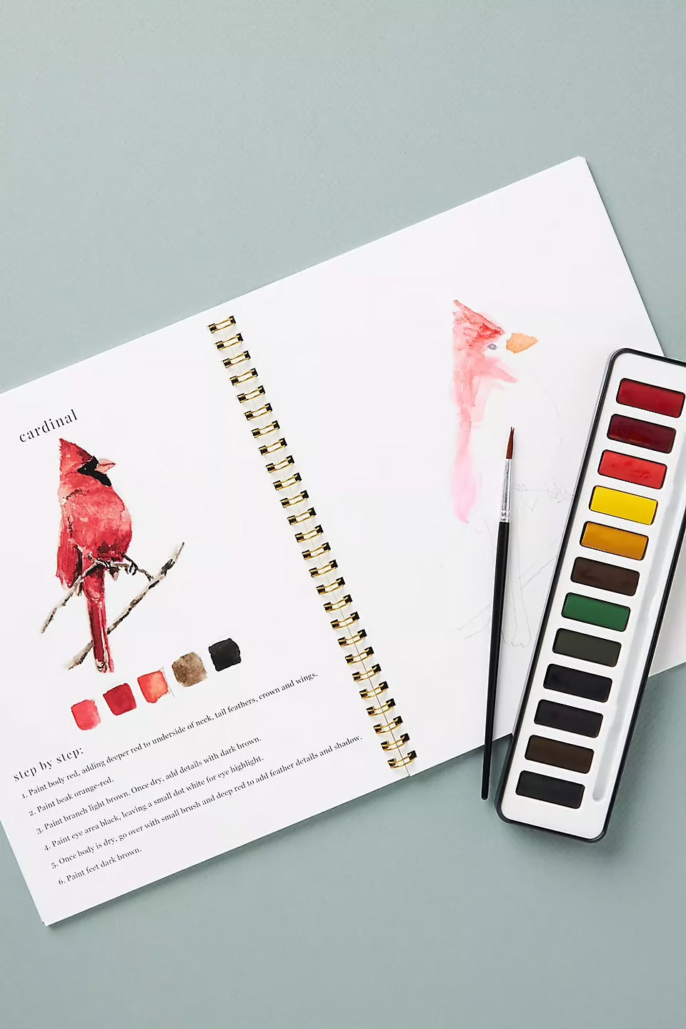 Aquarellia™ Watercolor Workbooks – Ontdek de rust van schilderen 🎨