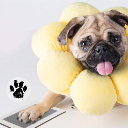 PawPrint Memories™ | 1+1 GRATIS