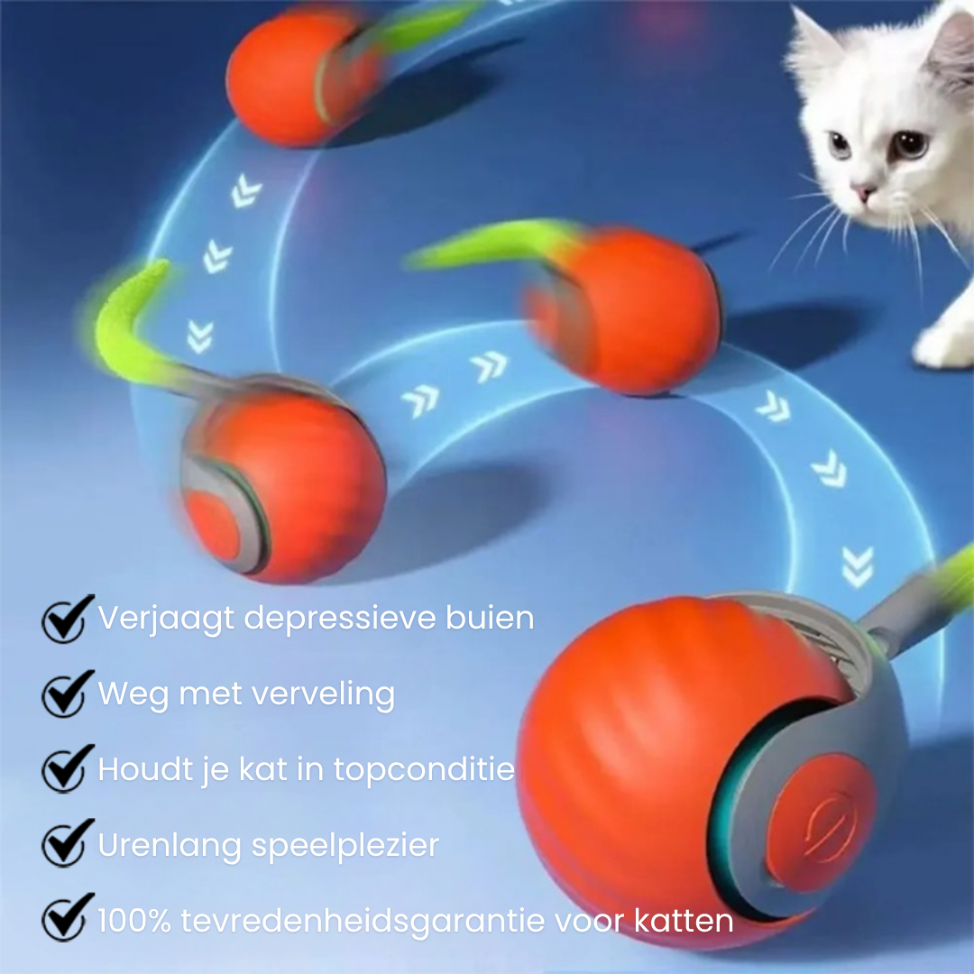 PawWhirl™ – Het interactieve speeltje dat katten in beweging brengt | 1+1 GRATIS