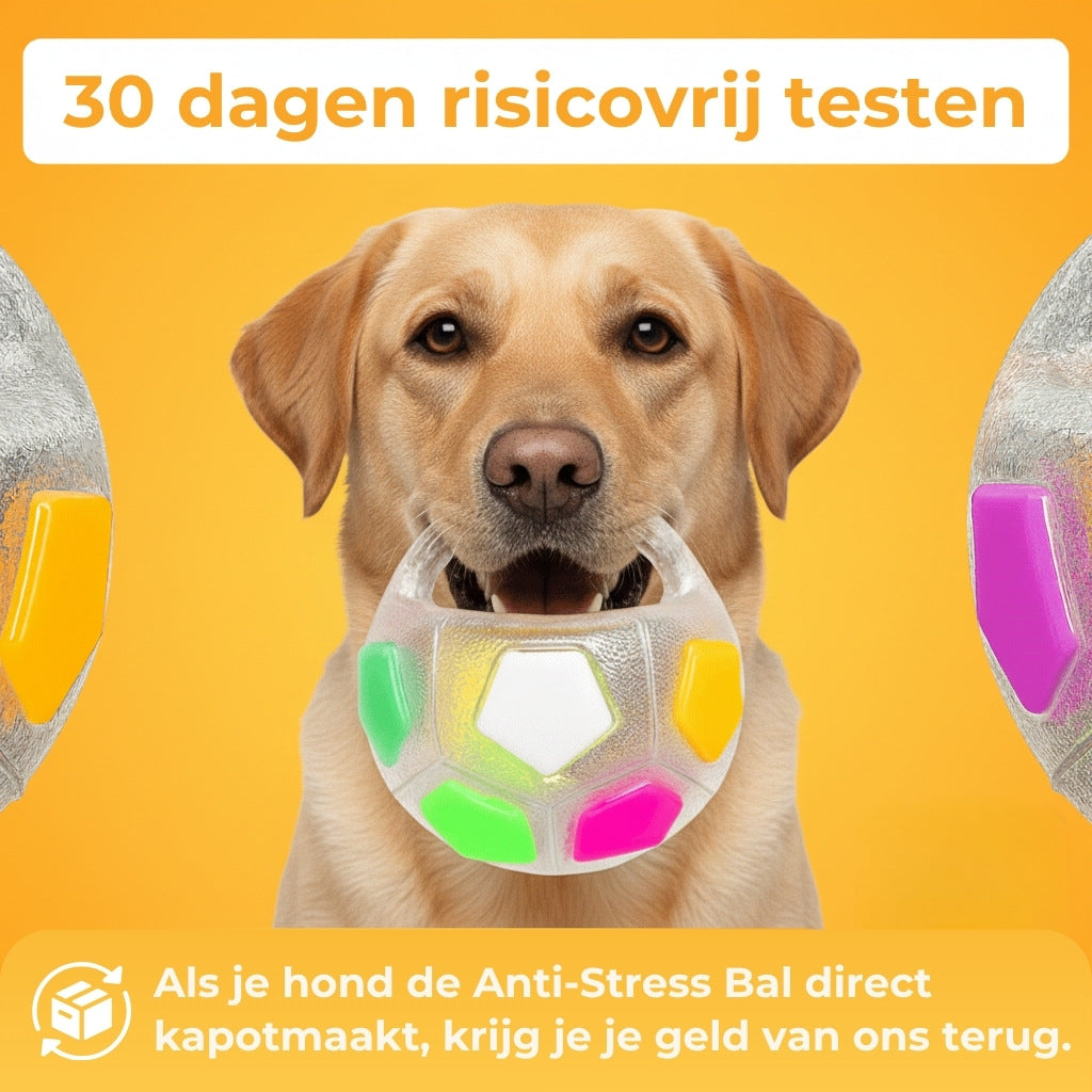 PawLuma™ RelaxBall – Meer dan gewoon een speeltje