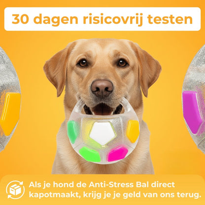 PawLuma™ RelaxBall – Meer dan gewoon een speeltje