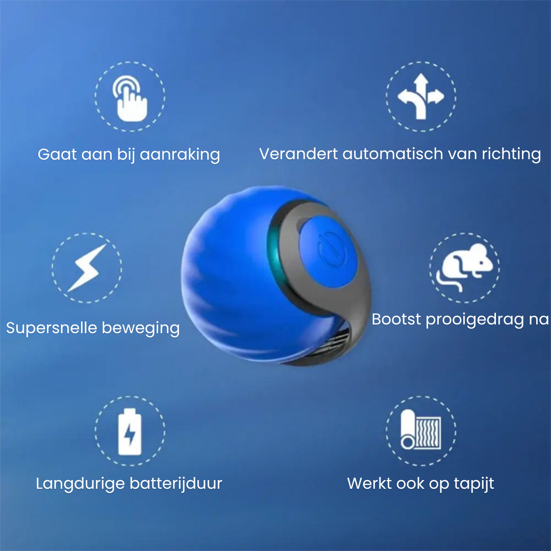 PawWhirl™ – Het interactieve speeltje dat katten in beweging brengt | 1+1 GRATIS