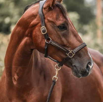EquiJoy™ Adventskalender – Elke dag een moment van magie voor jou en je paard