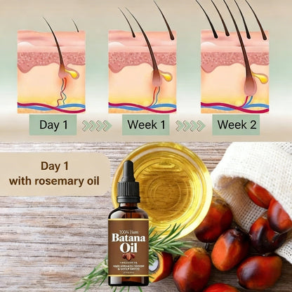 Herbelyra™ Rozemarijn Haarolie – Pure Verzorging voor Glanzend Haar