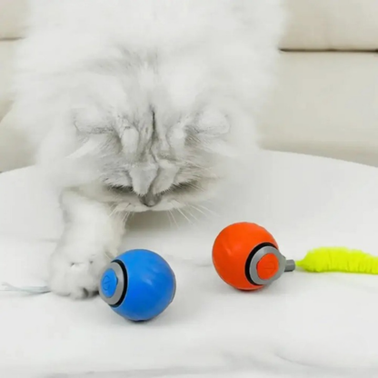 PawWhirl™ – Het interactieve speeltje dat katten in beweging brengt | 1+1 GRATIS