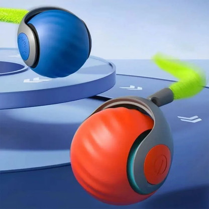 PawWhirl™ – Het interactieve speeltje dat katten in beweging brengt | 1+1 GRATIS