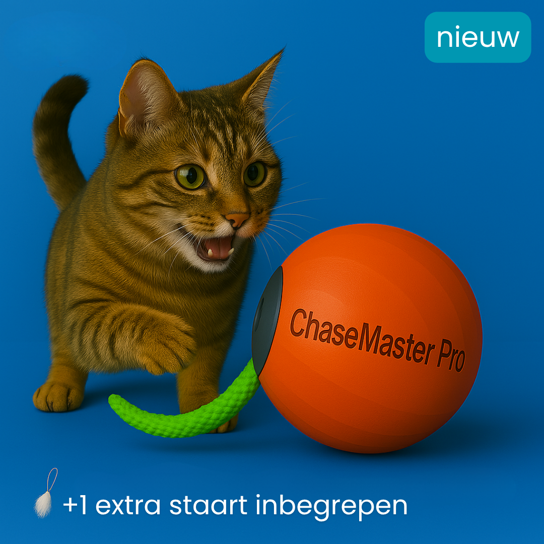 PawWhirl™ – Het interactieve speeltje dat katten in beweging brengt | 1+1 GRATIS