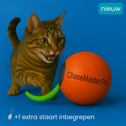 PawWhirl™ – Het interactieve speeltje dat katten in beweging brengt | 1+1 GRATIS