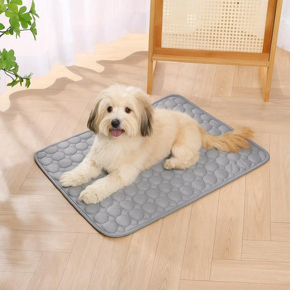 PawChill™ | Verkoelende Mat Voor Huisdieren – Voor Een Zorgeloze Zomer