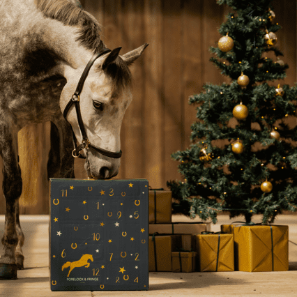 EquiJoy™ Adventskalender – Elke dag een moment van magie voor jou en je paard