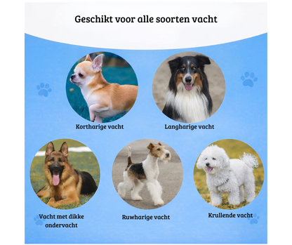 Pawrelia™ – Zachte Ontklittingsborstel voor Honden