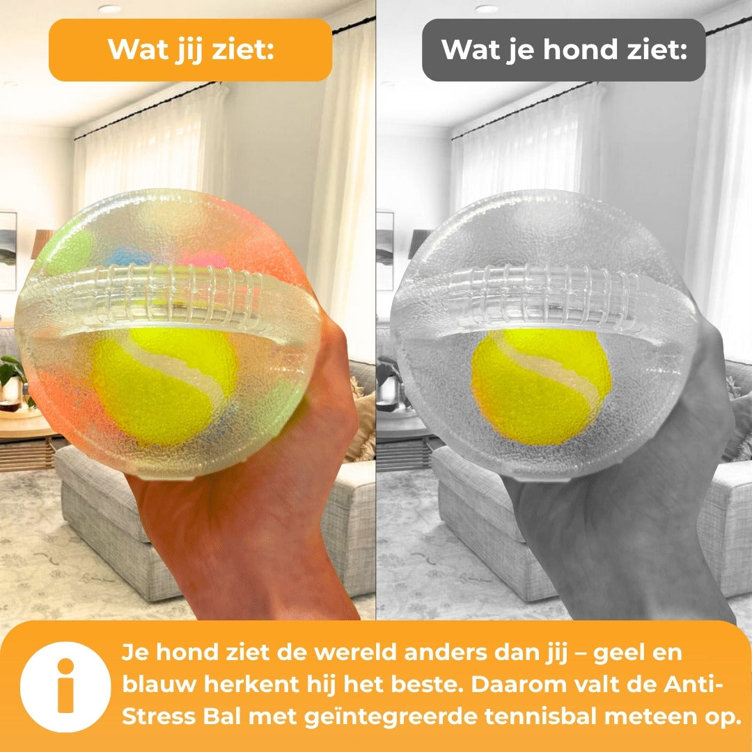 PawLuma™ RelaxBall – Meer dan gewoon een speeltje