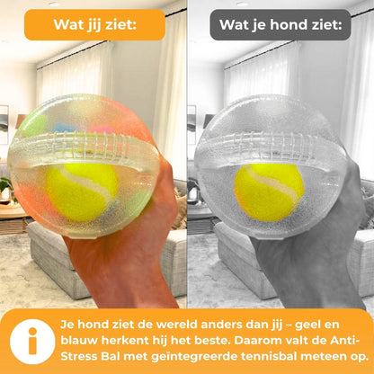 PawLuma™ RelaxBall – Meer dan gewoon een speeltje