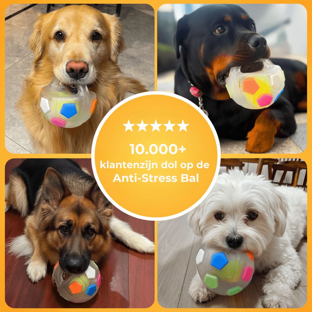 PawLuma™ RelaxBall – Meer dan gewoon een speeltje
