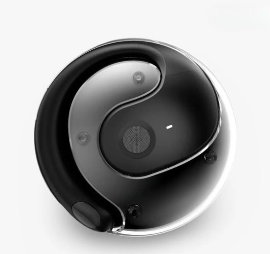 NovaLingo™ – Jouw slimme tolk & draadloze oordopjes in één