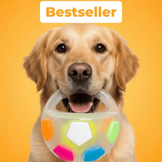 PawLuma™ RelaxBall – Meer dan gewoon een speeltje