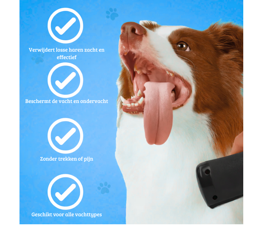 Pawrelia™ – Zachte Ontklittingsborstel voor Honden