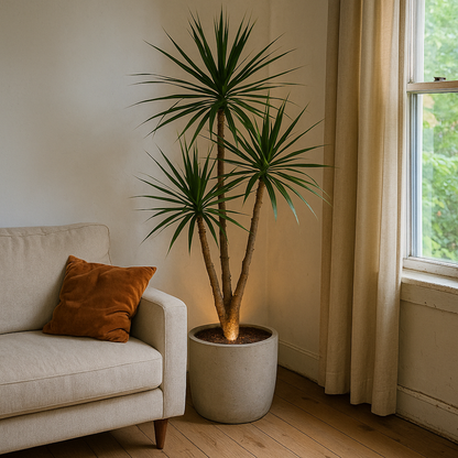 LumoLeaf™ - Draadloze Plantenspot – Sfeervol Accentlicht voor Elk Interieur