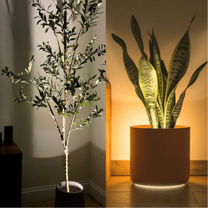 LumoLeaf™ - Draadloze Plantenspot – Sfeervol Accentlicht voor Elk Interieur