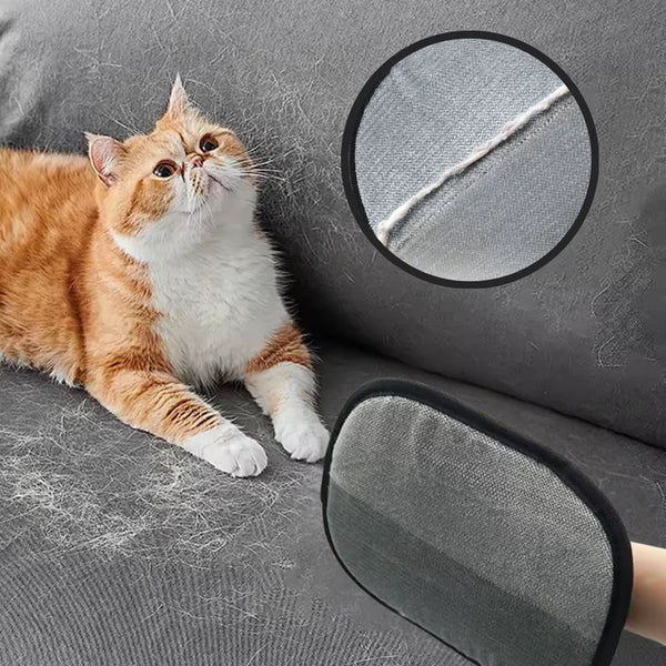 Purrfect | Zeg vaarwel tegen haarchaos in huis | 1+1 GRATIS