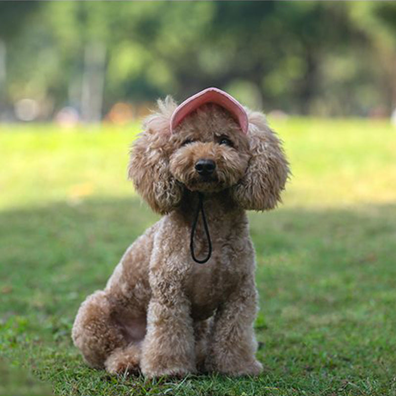 PawChic™ – Zonnehoed voor Honden