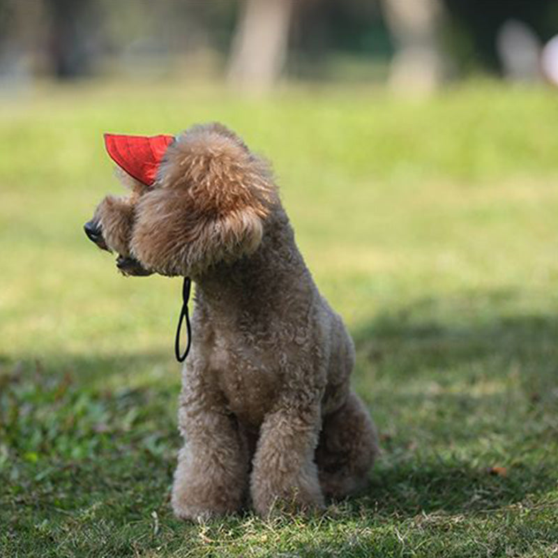 PawChic™ – Zonnehoed voor Honden