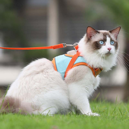 PawSure™ – Reflecterend Kattenharnas voor Veilig & Comfortabel Wandelen