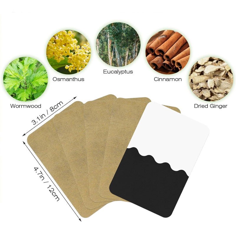 Zenvyra™ Ginger Warm Relief Pleisters | 10 Stuks